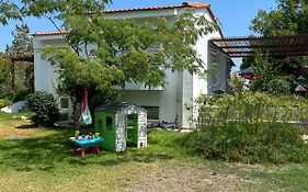 Andromeda Shell House