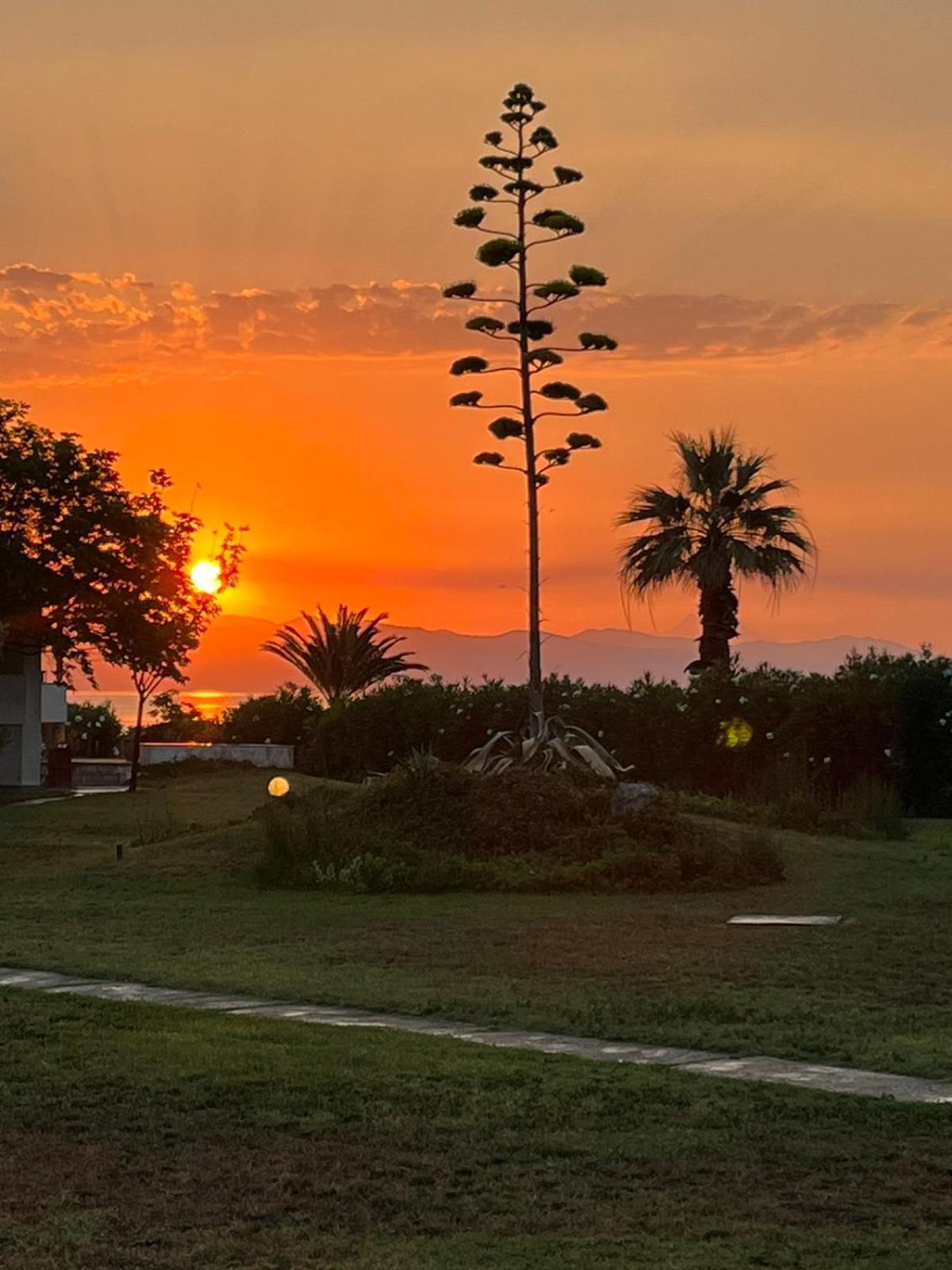 Andromeda Shell House Villa Pefkochori Dış mekan fotoğraf